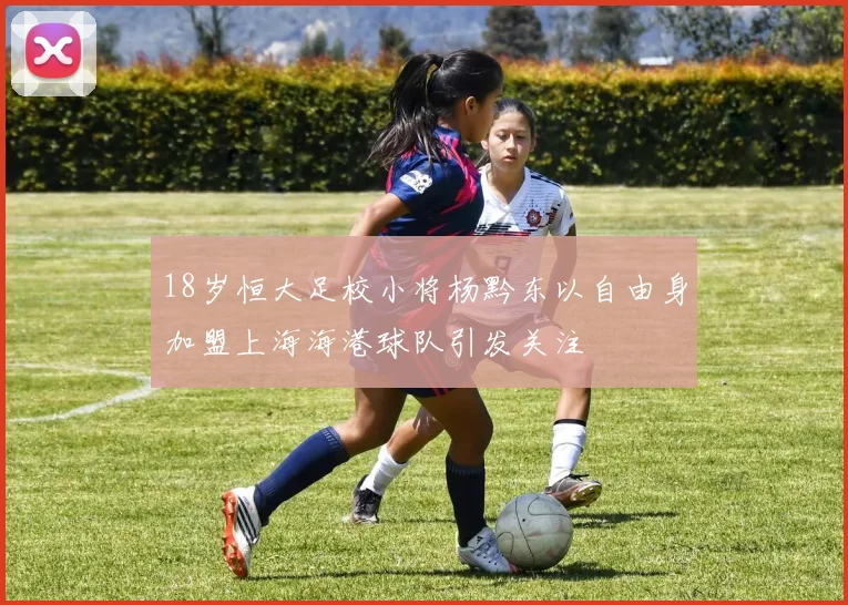 18岁恒大足校小将杨黔东以自由身加盟上海海港球队引发关注