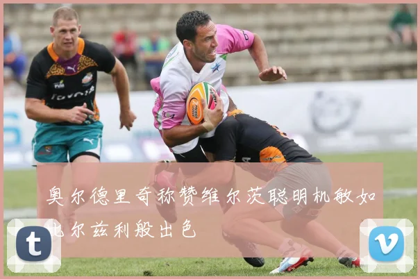 奥尔德里奇称赞维尔茨聪明机敏如比尔兹利般出色