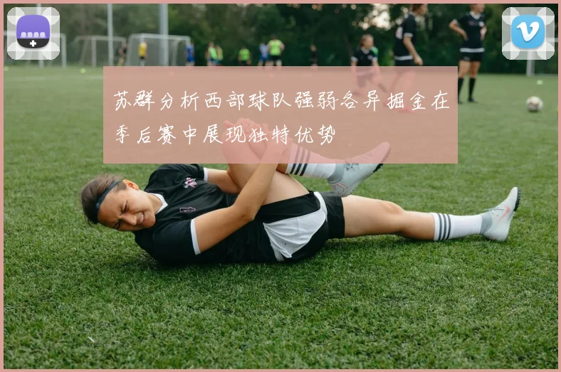 苏群分析西部球队强弱各异掘金在季后赛中展现独特优势