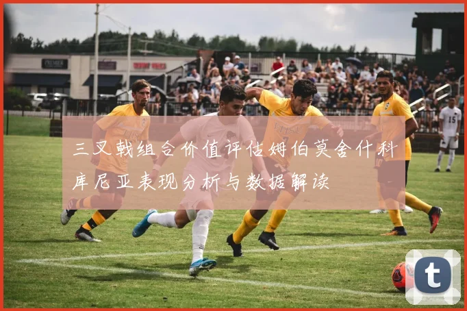 三叉戟组合价值评估姆伯莫舍什科库尼亚表现分析与数据解读