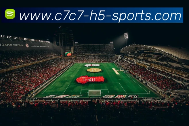 多媒体互动体验